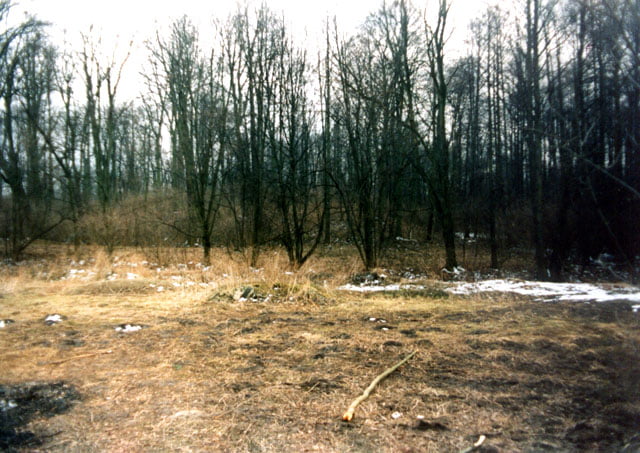 Białaczów - dwór na kopcu. Stan przed rozpoczęciem badań archeologicznych (zima 1997 r.). Widok od wschodu. Białaczów - dwór na kopcu. Stan przed rozpoczęciem badań archeologicznych (zima 1997 r.). Widok od wschodu.