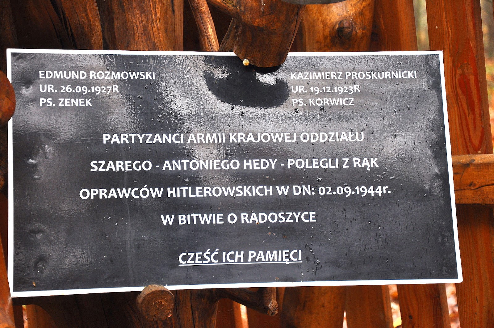 Wyrębów - tabliczka na leśnej, partyzanckiej kapliczce informująca o poległych partyzantach w dniu 2.09.1944. Foto. KW. Wyrębów - tabliczka na leśnej, partyzanckiej kapliczce informująca o poległych partyzantach w dniu 2.09.1944. Foto. KW.